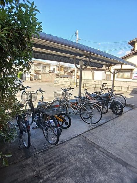 Naikan11 20261028000000 945x630