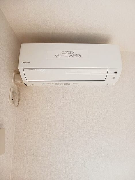 Naikan9 20251204000000
