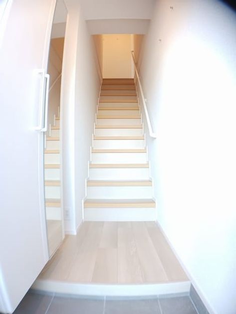 Naikan12 20250214000000 945x630