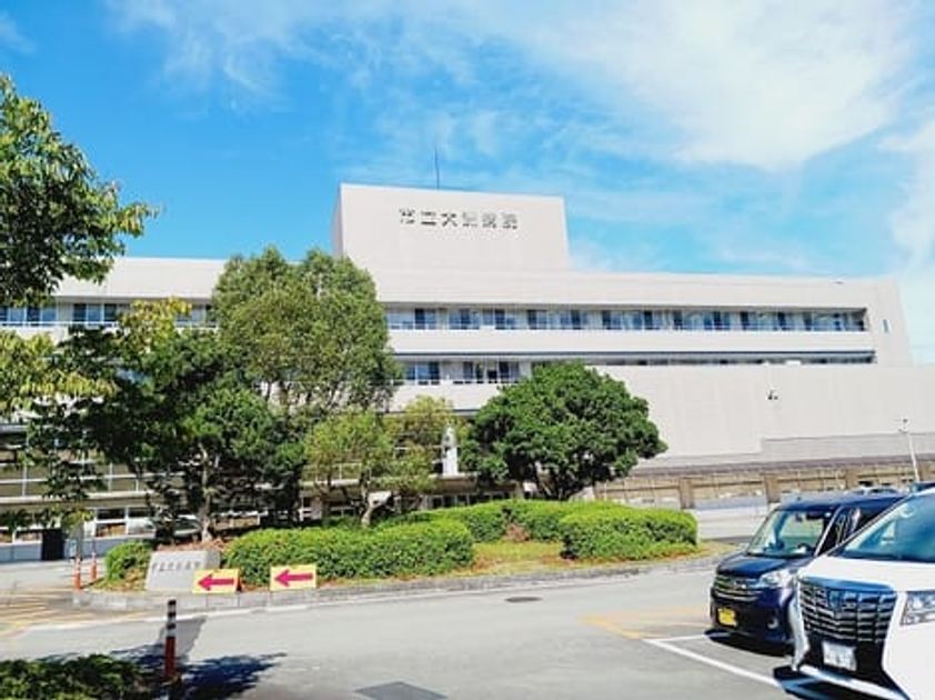 Naikan17 20251017000000 945x630