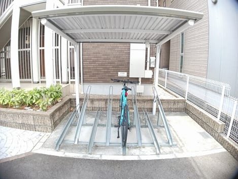 Naikan8 20250402000000