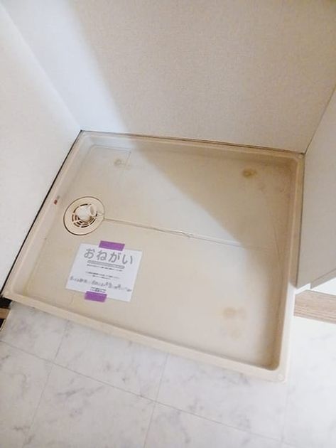 Naikan5 20260826000000 945x630