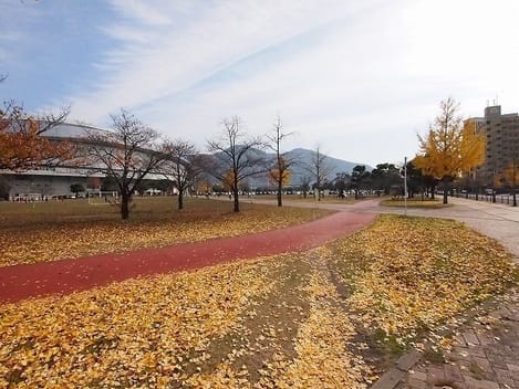 Naikan18 20220926000000