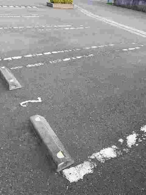Naikan10 20210315000000