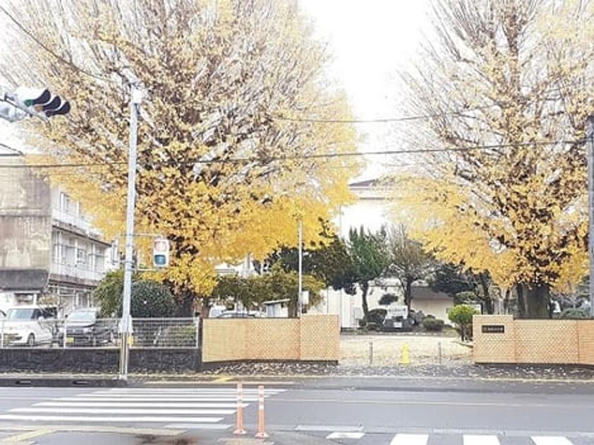 Naikan17 20240724000000 945x630