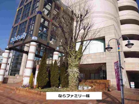 Naikan17 20200730000000
