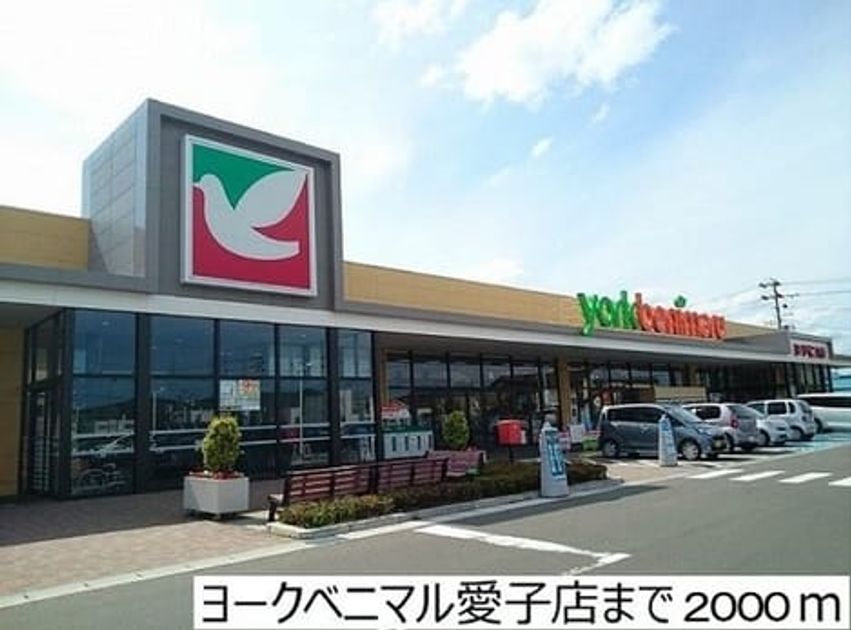 Naikan14 20190408000000 945x630