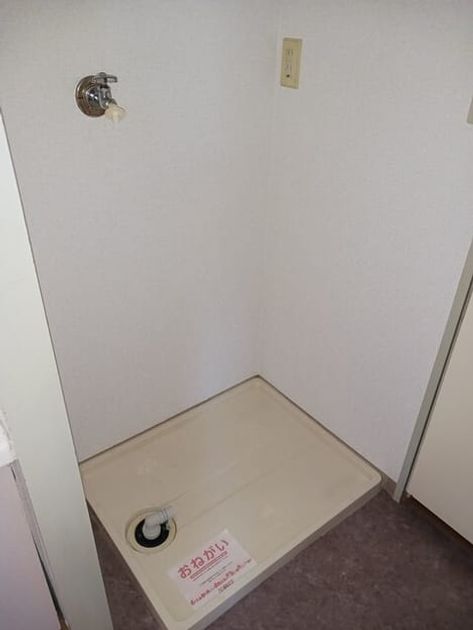 Naikan11 20250407000000 945x630