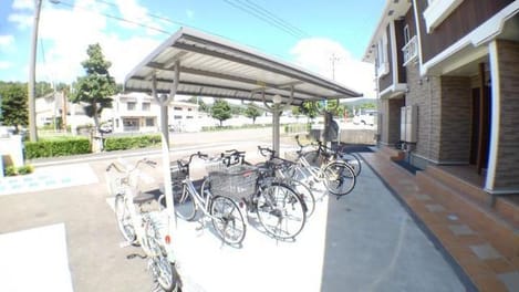 Naikan11 20191113000000