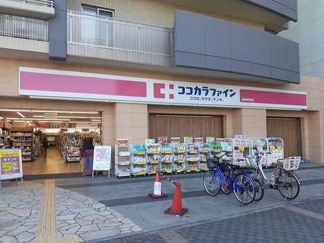 Naikan13 20241105000000