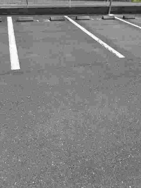 Naikan10 20210409000000