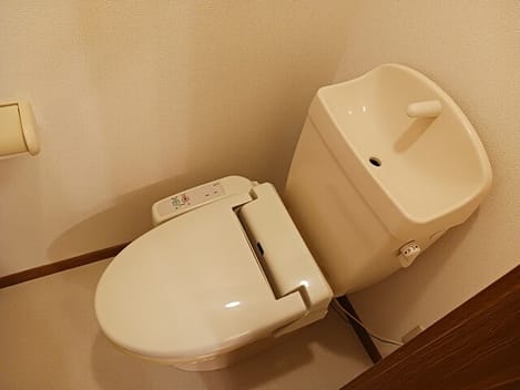 Naikan8 20250304000000