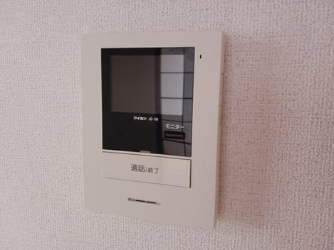 Naikan11 20260123000000