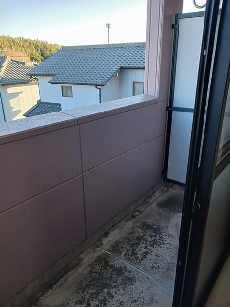 Naikan11 20241209000000