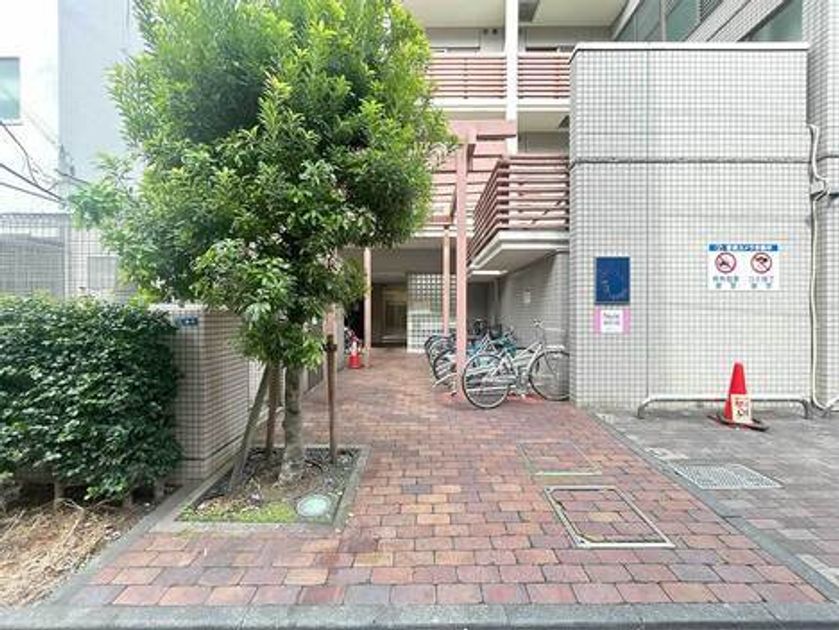 Naikan17 20251031152705 945x630