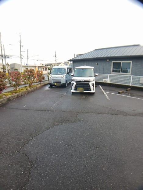Naikan11 20260203000000