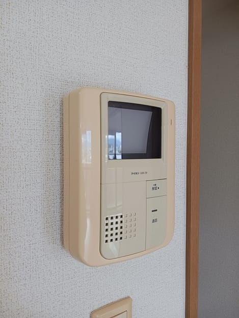 Naikan11 20260120000000