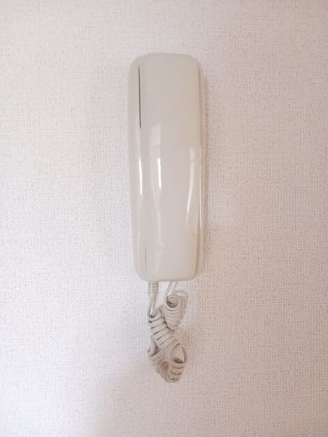 Naikan10 20250828000000