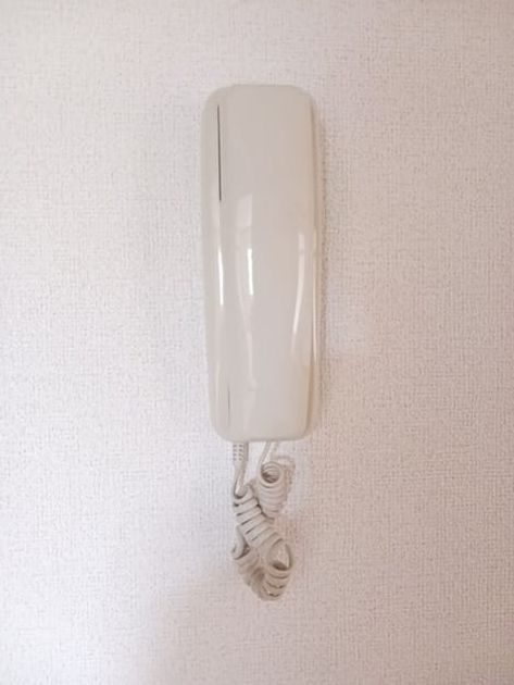 Naikan10 20250828000000 945x630