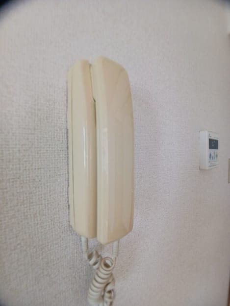 Naikan10 20250826000000