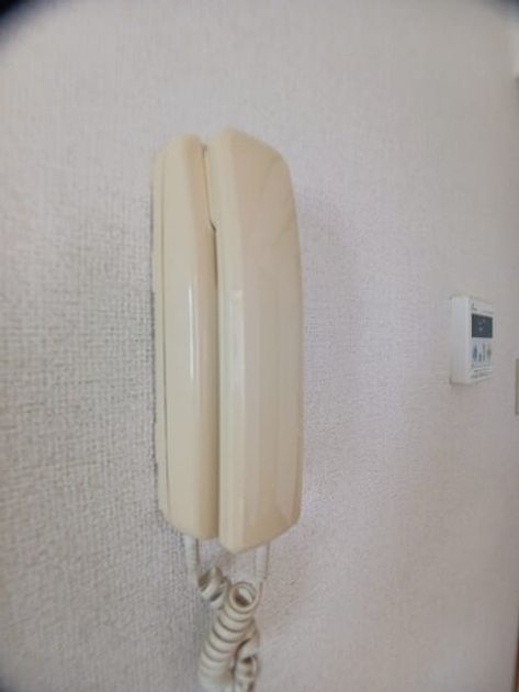 Naikan10 20250826000000 945x630