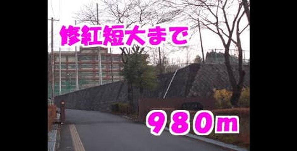 Naikan17 20140124000000 945x630