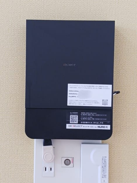 Naikan10 20250521000000
