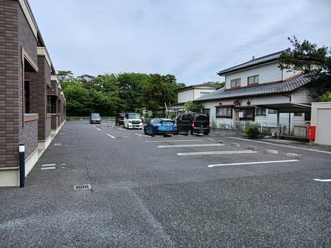 Naikan11 20260114000000