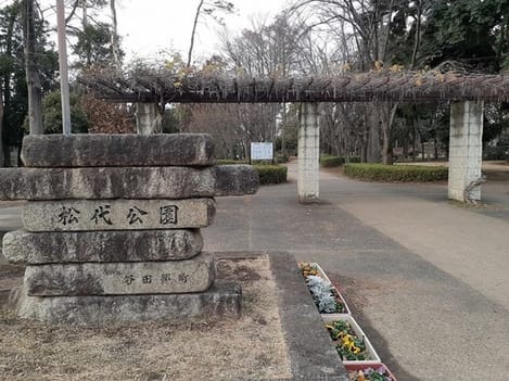 Naikan17 20220301000000