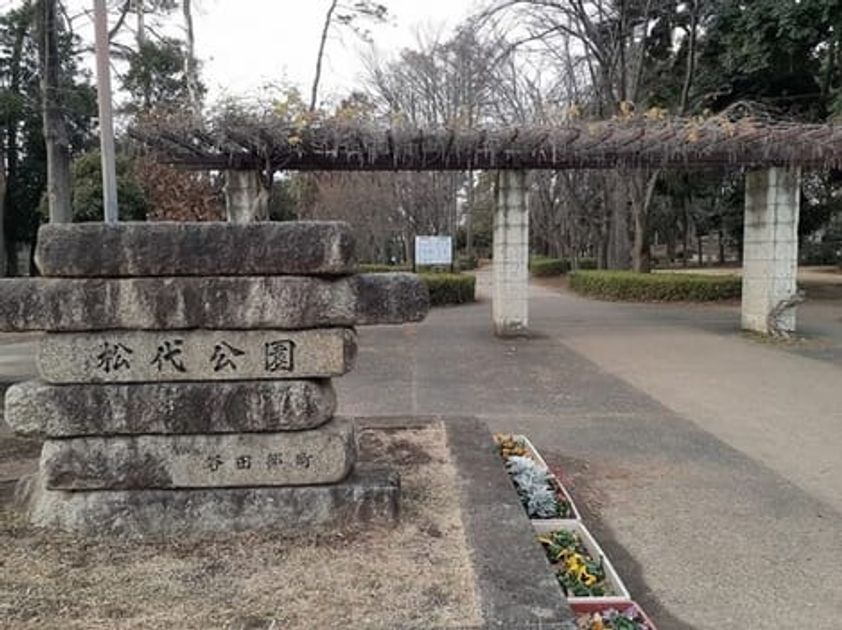 Naikan17 20220301000000 945x630
