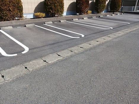 Naikan11 20260220000000