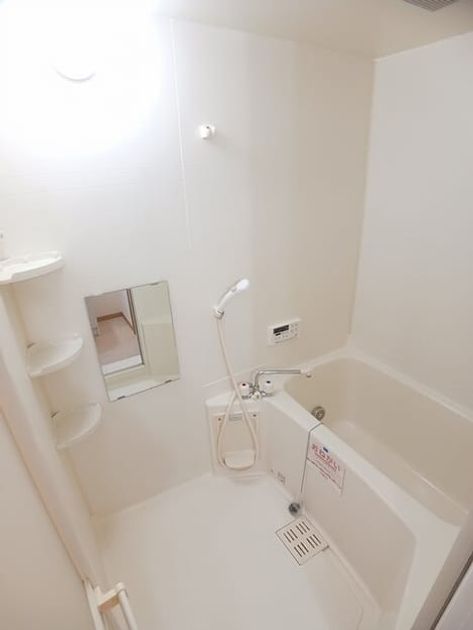 Naikan3 20251205000000 945x630