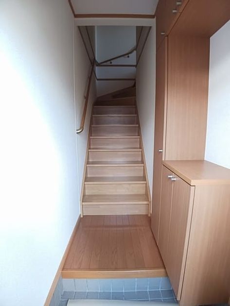 Naikan7 20251205000000 945x630