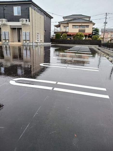 Naikan11 20260302000000