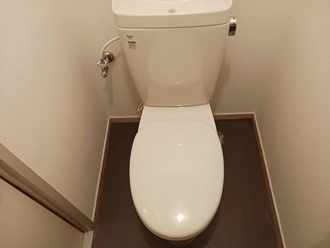 Naikan10 20260128000000