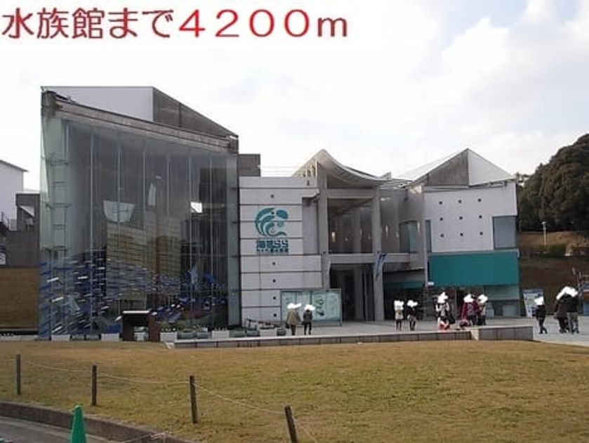 Naikan18 20210218000000 945x630