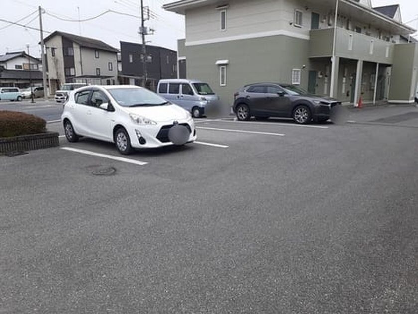 Naikan11 20220329000000 945x630