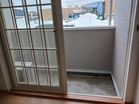 Naikan8 20260126000000