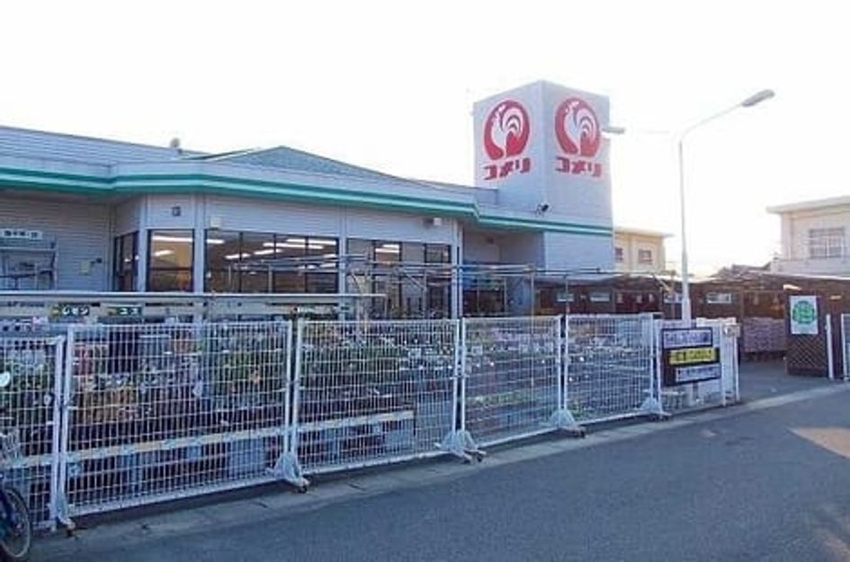 Naikan16 20250313000000 945x630
