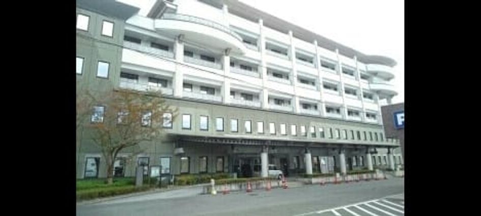 Naikan18 20250313000000 945x630