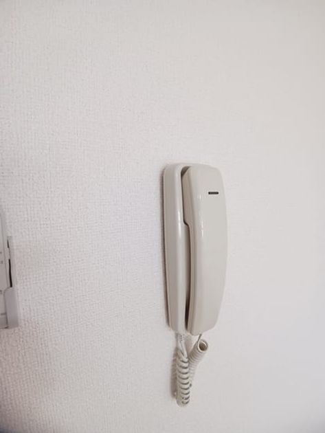 Naikan7 20241210000000 945x630