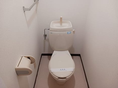 Naikan6 20260212000000