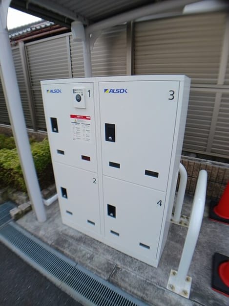 Naikan12 20260216000000