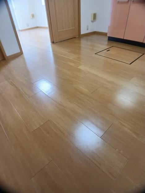 Naikan1 20260304000000