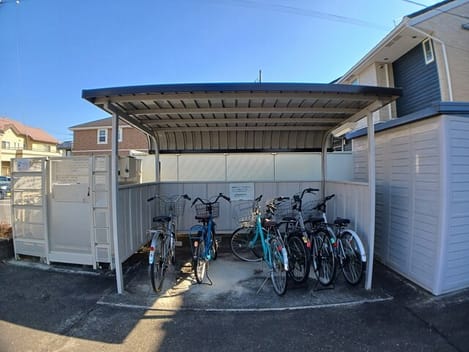 Naikan11 20260218000000