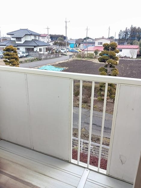 Naikan12 20250210000000