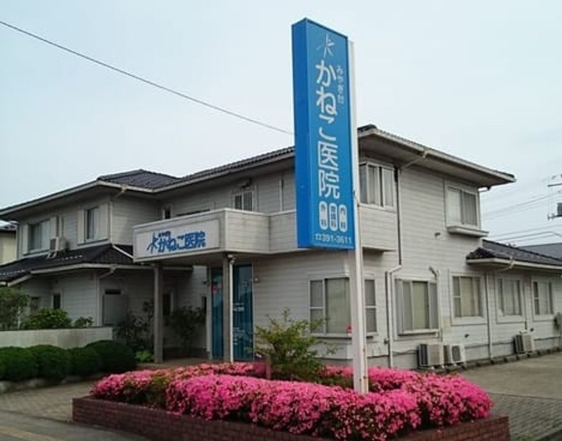 Naikan18 20230331000000 945x630