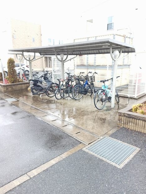 Naikan12 20250305000000
