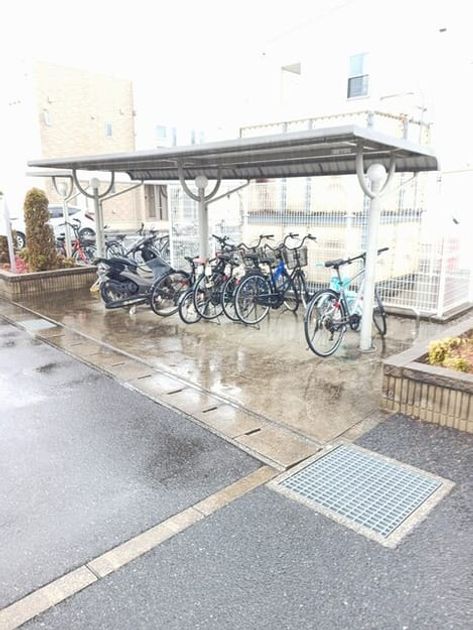 Naikan12 20250305000000 945x630
