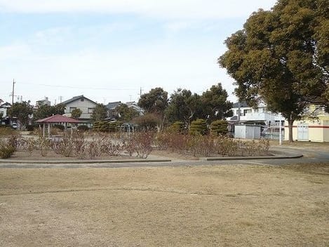 Naikan13 20220916000000